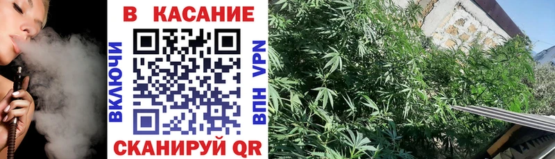 Купить Катайск COCAIN МЕФ АМФ APVP Конопля ГАШИШ