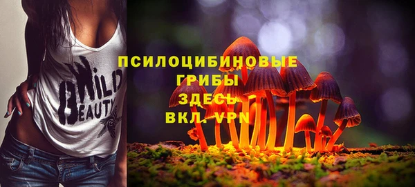 mix Алексин