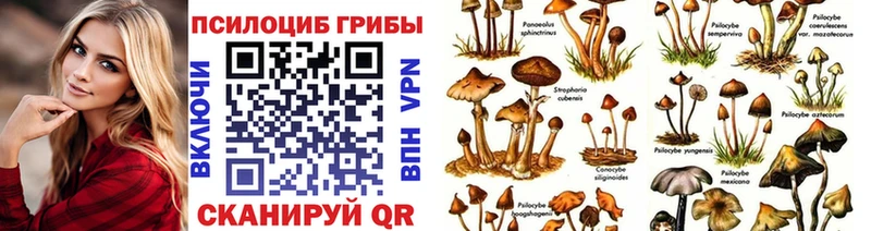 Галлюциногенные грибы MAGIC MUSHROOMS  гидра как войти  Катайск 