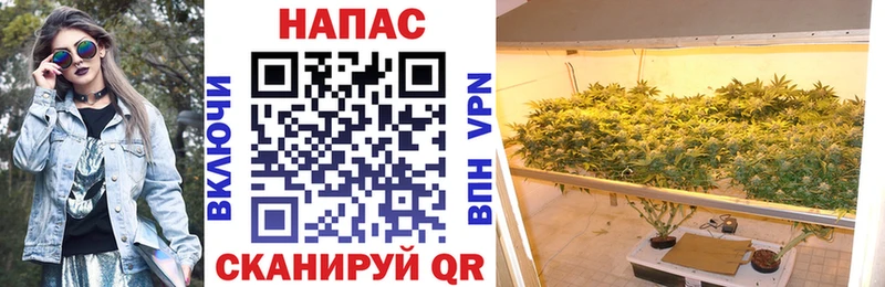 Конопля конопля Катайск